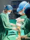 TIẾP TỤC KHẲNG ĐỊNH NĂNG LỰC PHẪU THUẬT THAY KHỚP GỐI TẠI TRUNG TÂM Y TẾ KHU VỰC ĐOAN HÙNG